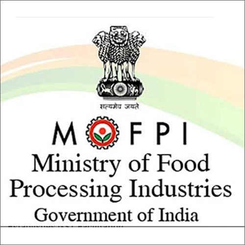 MOFPI Subsidy Consultant Services