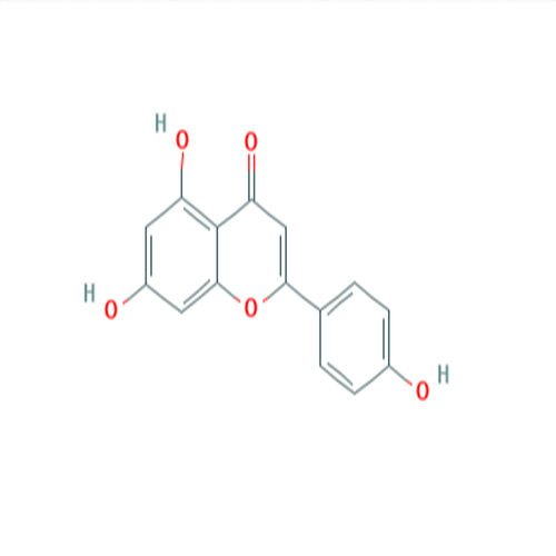 Plant Extract