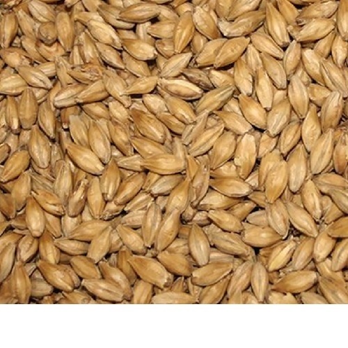 Granule Barley Grains For Animal Feed