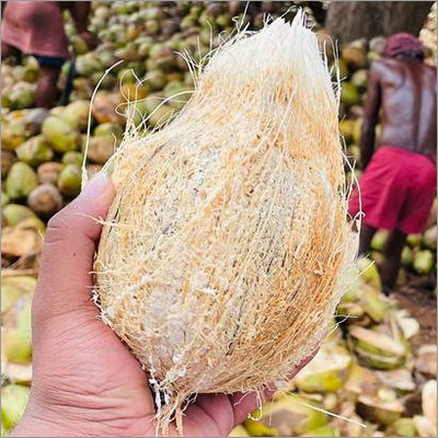 Husked Coconut