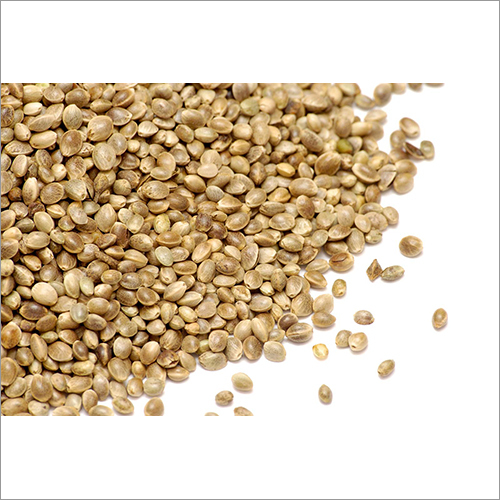 Hemp Seeds