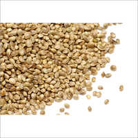 Hemp Seeds - 3-5mm Size, 14% Max Moisture | Organic, Pure, Feed Grade For Bird Food