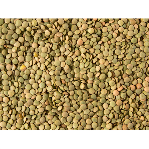 Whole Skin Red Lentil