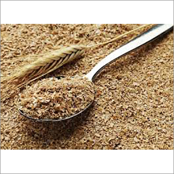 Fresh Wheat Bran By AG OUTSOURCING