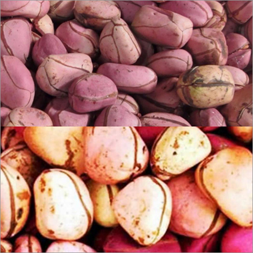 Natural Kola Nut