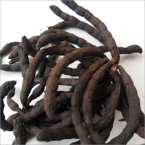 Xylopia Aethiopica