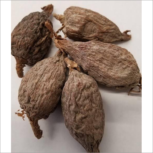 Alligator Pepper