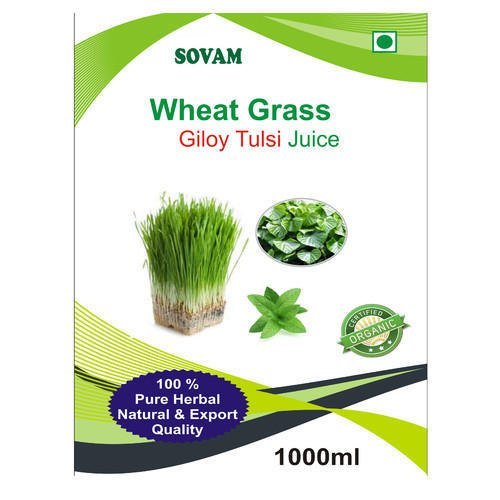 Wheatgrass Giloy Tulsi Juice