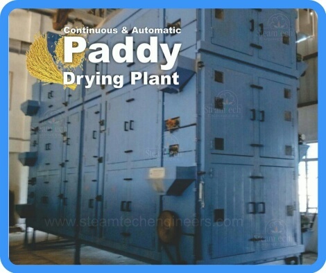 Paddy Dryer By STEAMTECH ENGINEERS