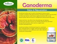 Ganoderma Capsules - 500mg Natural Brown Ganoderma Lucidum Extract, 60 Caps | Immunity Booster, Antioxidant, Allergen-free