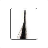 Human Hair