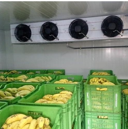 Industrial Banana Ripening Chamber