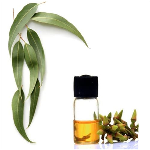 Eucalyptus Citriodora Oil