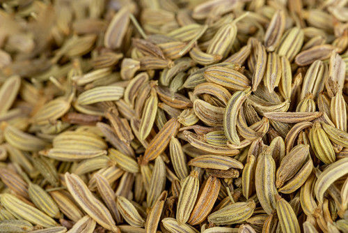 fennel seed