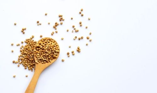 CORIANDER SEEDS