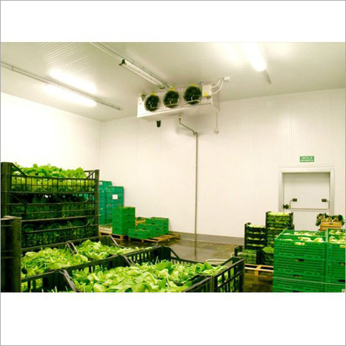 Vegetables Cold Storage Room