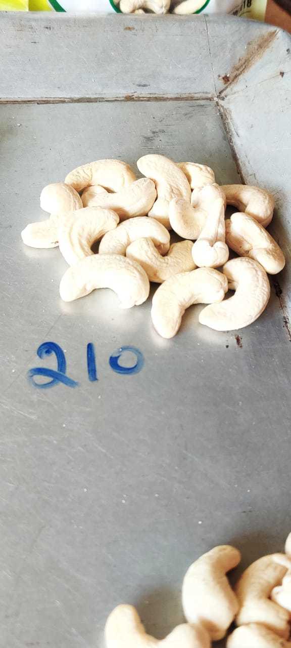 Broken Cashew Nuts