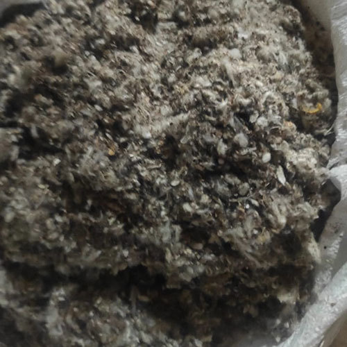 Normal Crushed Cotton Seeds