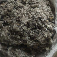 Crushed Cotton Seeds