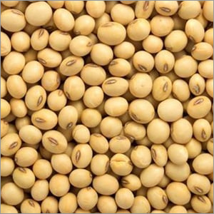 Whole Soybean