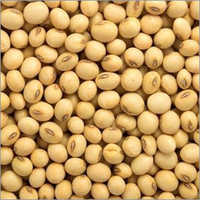 Whole Soybean