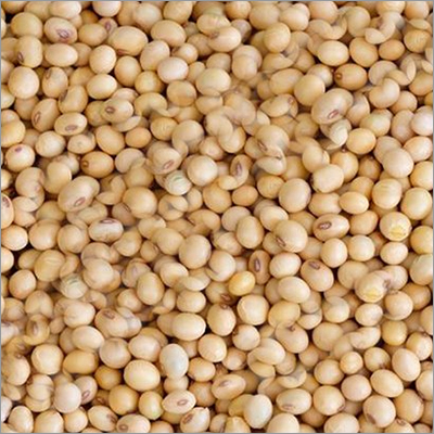 Natural Organic Soybean Grade: A