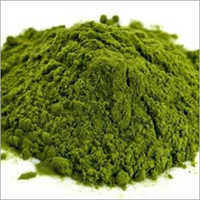 Stevia Powder Grade: Food
