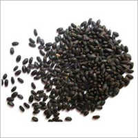 Black Holy Basil Seeds