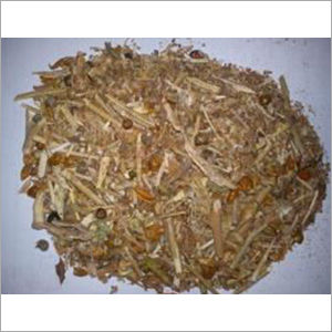 Ashwagandha Stem Dry Place