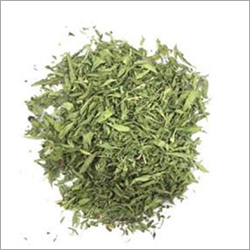 Stevia Leaves Dry Place