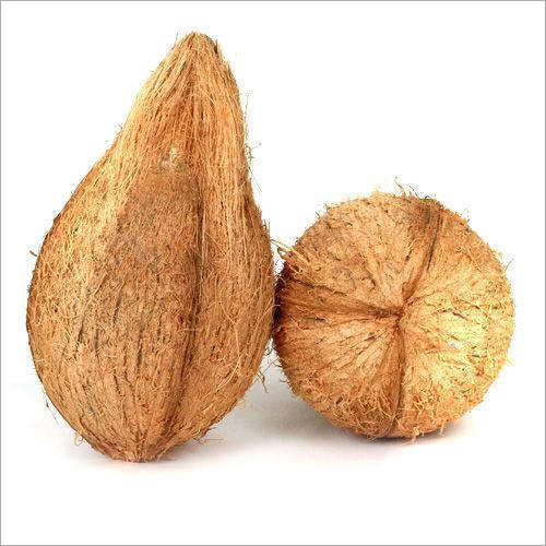 Natural Semi Husked Coconuts