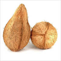 Natural Semi Husked Coconuts