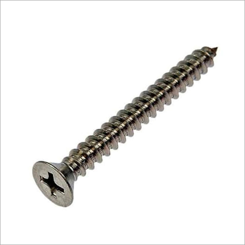 Silver Csk Phillips Head Pointed Screw