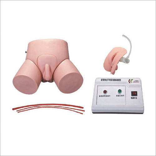 Electronic Urethral Catheterization And Enema Model