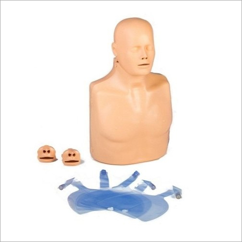 CPR And AED Manikins Simulators