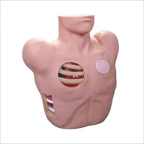 Thoracentesis Drainage Model