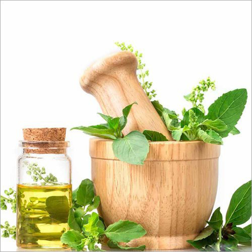 Basil Oil