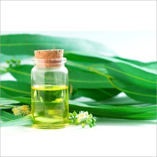 Eucalyptus Oil