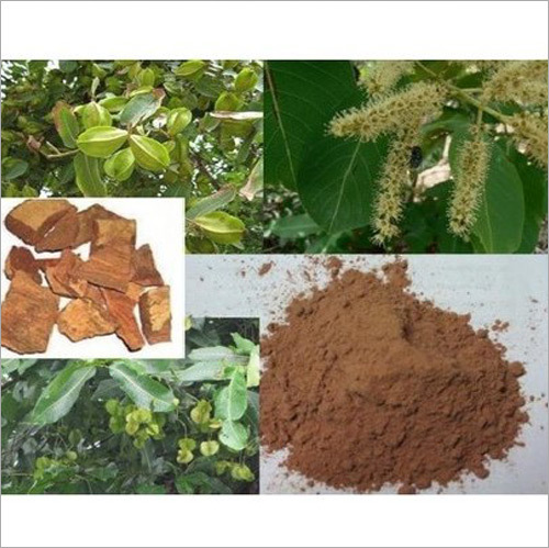 Arjun Chaal Powder
