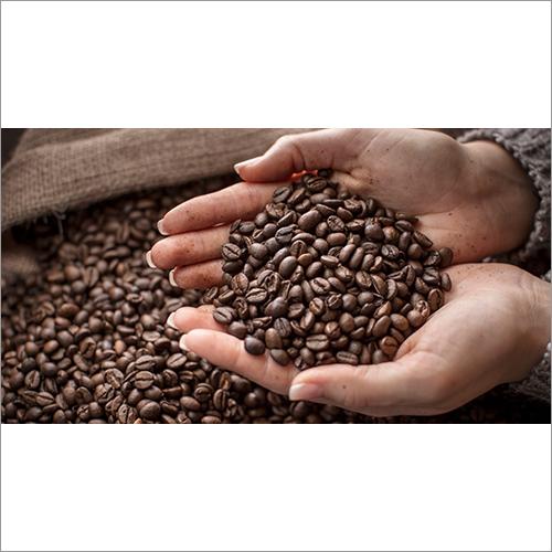Fresh Coffee Beans By UNIVERSAL MULTIPURPOSE COMPLEX UMC