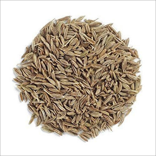 Cumin Seed By PACIFIC SOUTH EXPORTERS