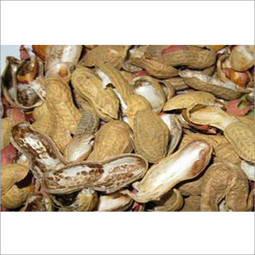 Groundnut Shell By SHYAMBEHARI AGRO FOODS PRIVATE LIMITED