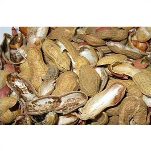 Groundnut Shell