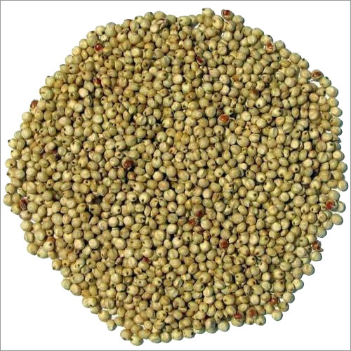 Bajra Seed By SHYAMBEHARI AGRO FOODS PRIVATE LIMITED