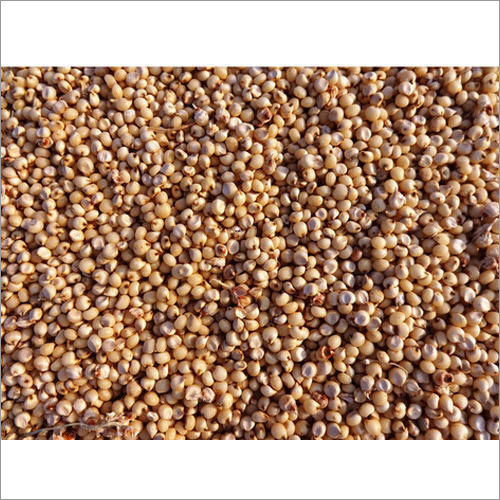 Jowar Seeds