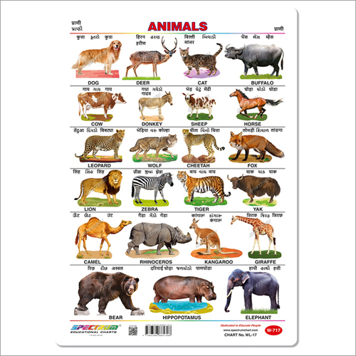 Animals Wall Charts