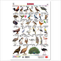 Birds Wall Charts