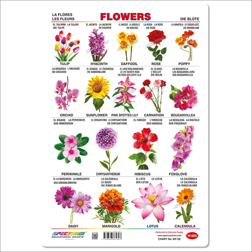 Flowers Wall Charts