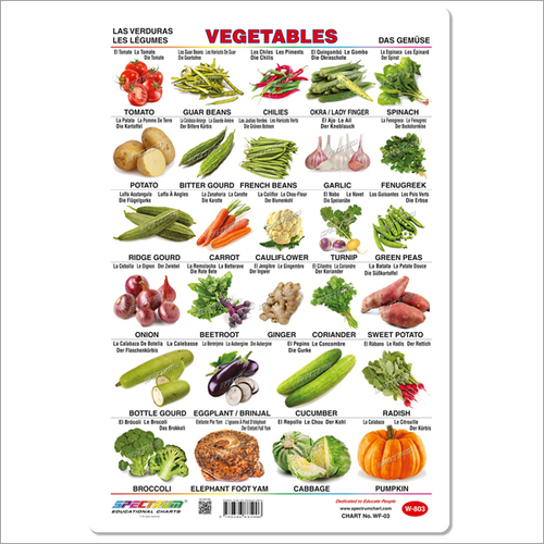 Vegetables Wall Charts