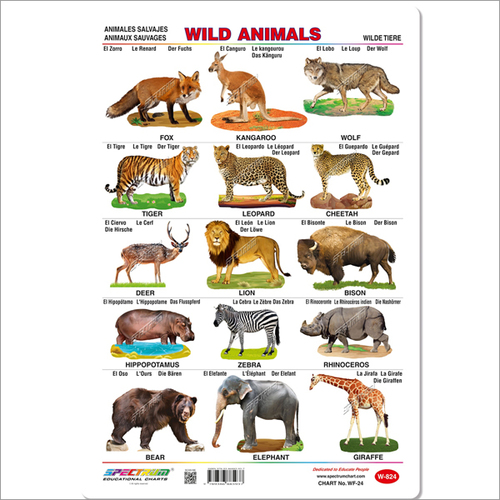 Wild Animals Wall Charts